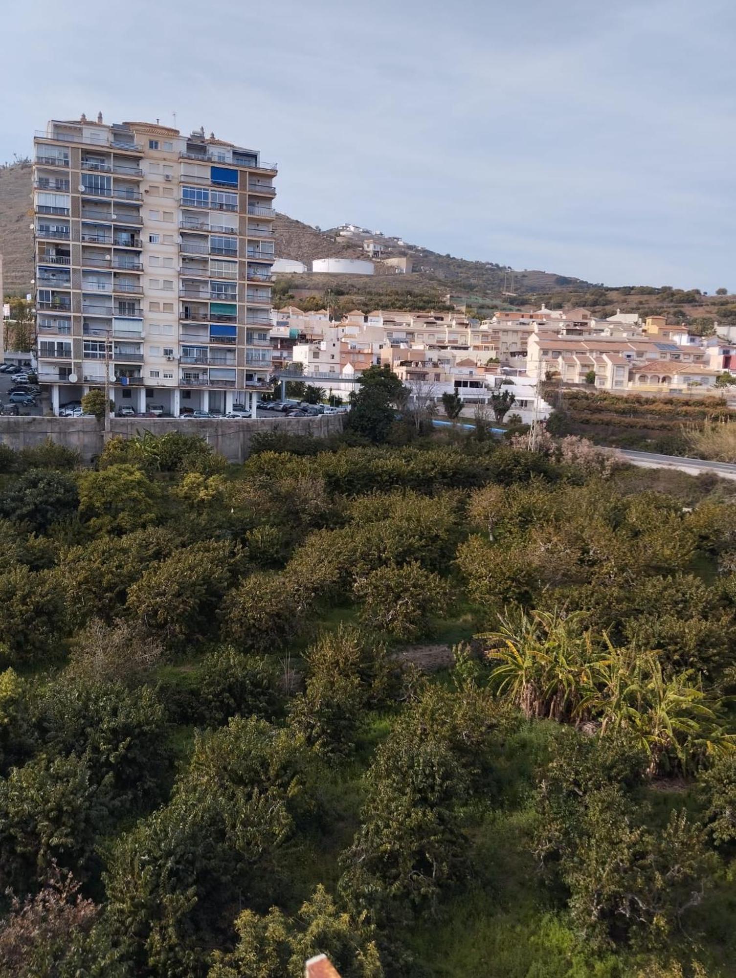 Room In Shared Apartment With Parking Almuñécar Екстериор снимка